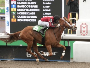 Jockey Jason Hoyte