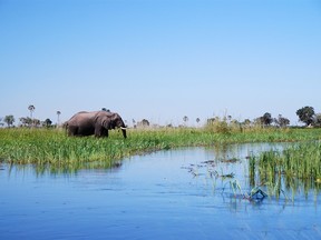 Okavango Delta