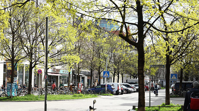 In der Donnersbergerstraße dominiert gerade zartes Grün. Vom Rotkreuzplatz aus wird es mit jedem Schritt in die Straße ruhiger.