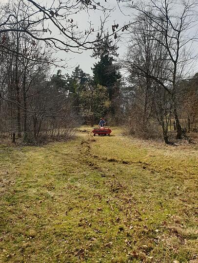 Hier sind Freiwillige vom LBV beim "Striegeln" zu sehen. Sie rechen Altgras aus der Wiese, damit kleine offene Stellen entstehen.