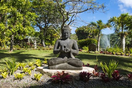 Der Karibikstaat St. Kitts und Nevis ist das kleinste Land Amerikas, hat aber dennoch einige Sehenswürdigkeiten, etwa den botanischen Garten von Nevis.