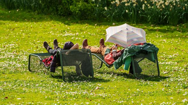 Wetter: Ein Besucher des Palmengarten schützt sich auf der Liegewiese vor der Sonne.