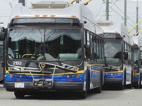 TransLink buses