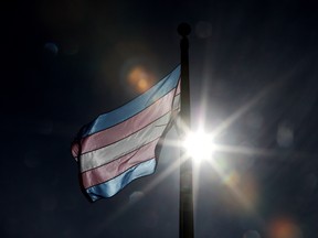 The transgender flag is visible in the midday sun after being raised in Violet King Henry Plaza, on the Alberta legislature grounds, in honour of International Transgender Day of Visibility, in Edmonton Thursday March 31, 2022.