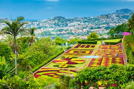 Im Mai stehen die Blumen auf Madeira in voller Blüte.