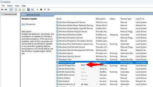 'Start' highlighted for 'Windows Update' on the 'Services' window.