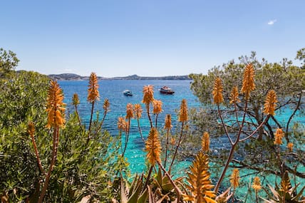 Im Frühling ist die Natur auf Mallorca besonders malerisch.