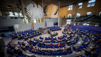 Die AfD finanziert sich fast zur Hälfte aus Mitteln des Staates