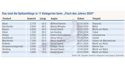 Die größten Fänge bei der Aktion „Fisch des Jahres 2024“