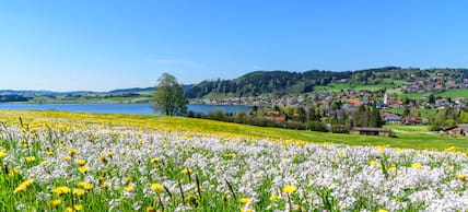 Im Frühling lockt das Allgäu mit saftig grünen Landschaften und bunten Blumen.