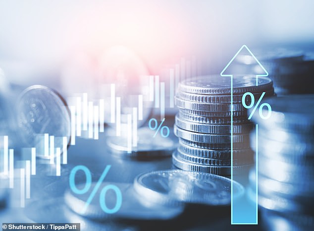 Warning: Pessimistic economists argue that inflation has not been tamed, either in the UK or in the US, and they claim it could stage a comeback ¿ in a second wave