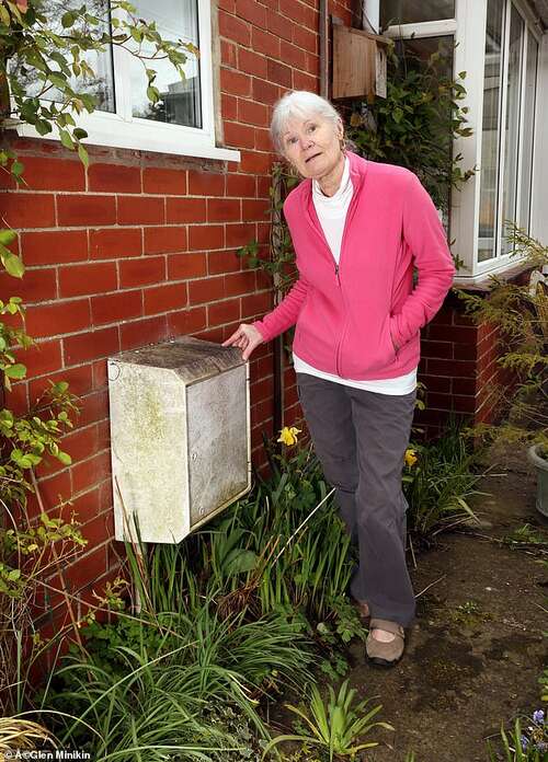 Carole Winn is one of dozens of readers who say they have been left worse off with a smart meter than they were with a traditional one