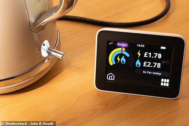 The £13.5billion rollout of smart meters began eight years ago, and so far, 34.8million homes and businesses have had one fitted