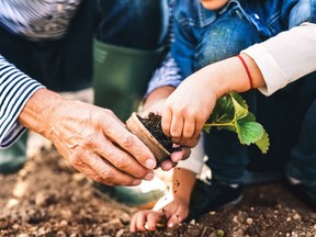 Gardening