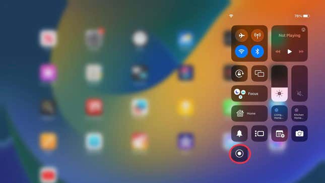 a screenshot of the screen record icon on ipad
