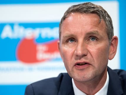 Der thüringische AfD-Landeschef Björn Höcke