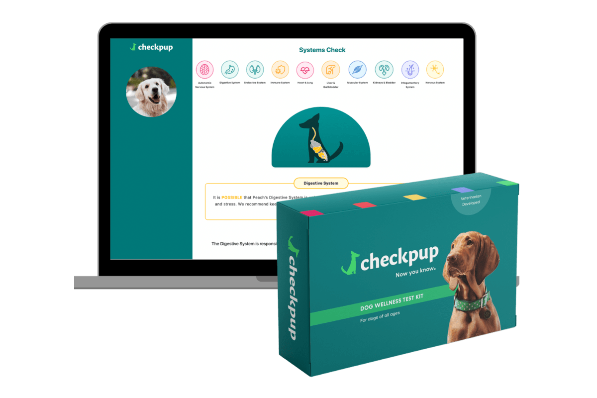 Checkpup Promo Code