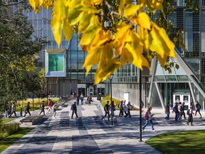 Students at the University of Calgary