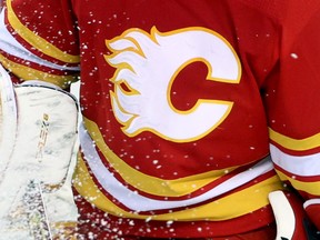 Calgary Flames goalie