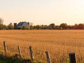 A disturbing secret lies buried on a family's property.