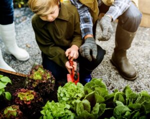 Grow Your Own Food