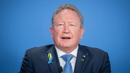 Der australische Milliardär Andrew Forrest.