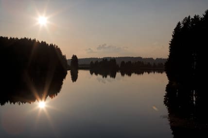 Abendlicher Ausblick auf den Ziegenberger Teich in Niedersachsen.