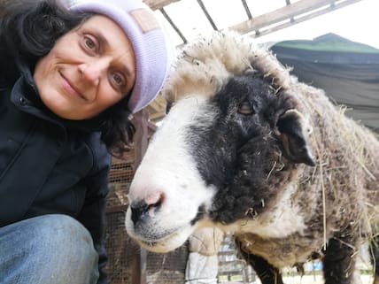 Hilal Sezgin betreibt einen Lebenshof, auf dem neben Schafen auch Ziegen und Gänse leben. 