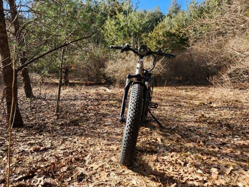 Lectric XPeak front view parked on a forest path.