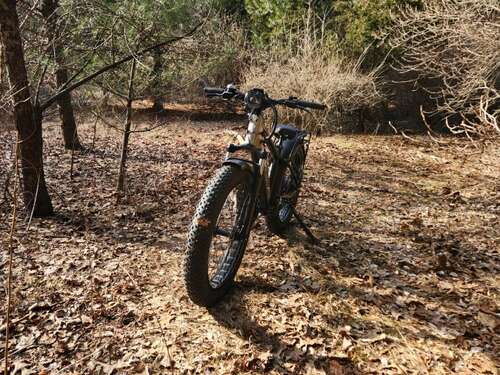 Lectric XPeak left front three-quarter view parked on a forest path.