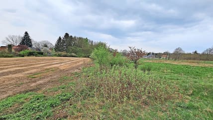 Ein Blick auf das Gelände des neuen Baugebietes Klein Niendorf. Das Gelände links ist im Bebauungsplan 99 geregelt. Der weitaus größere Teil rechts umfasst den Bebauungsplan 98.