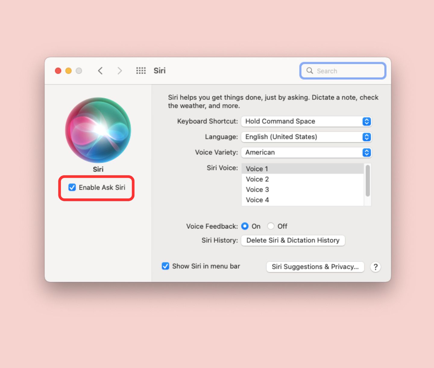 Mac enable ask siri