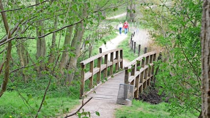 Aus dem Stadtpark in Nortorf führt am Rand des Bellerbektals ein Wanderweg nach Borgdorf-Seedorf. (Archivbild)