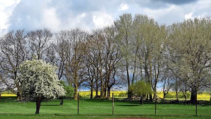 Wildgut Warksow liegt in ländlicher Idylle inmitten blühender Rapsfelder.