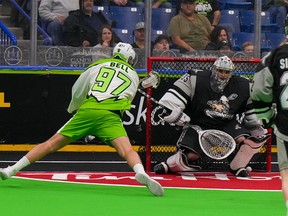 Saskatchewan Rush vs Calgary Roughnecks