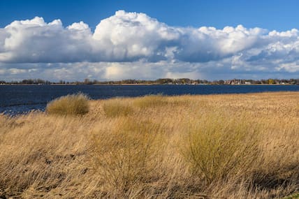 Wolken über dem Ufer mit Schilf am Dümmer See in Niedersachsen.