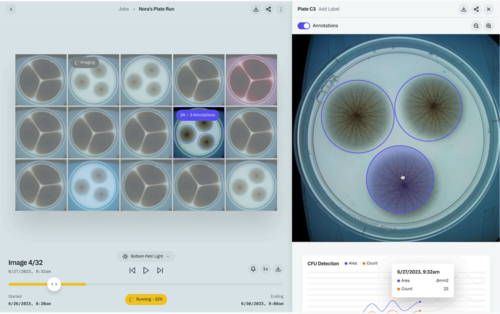 Results are presented through a cloud-based interface