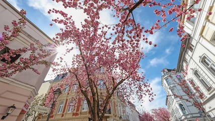 In der Altstadt von Bonn schien schon am Ostersonntag die Sonne. Am kommenden Wochenende wird noch frühlingshafteres Wetter erwartet.