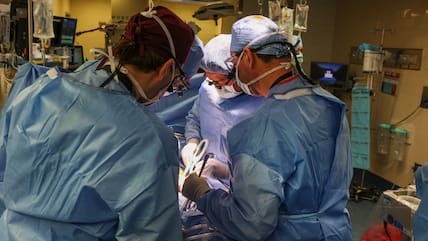 Ärzte arbeiten in einem OP-Raum bei der Transplantation einer Schweineniere im Massachusetts General Hospital.