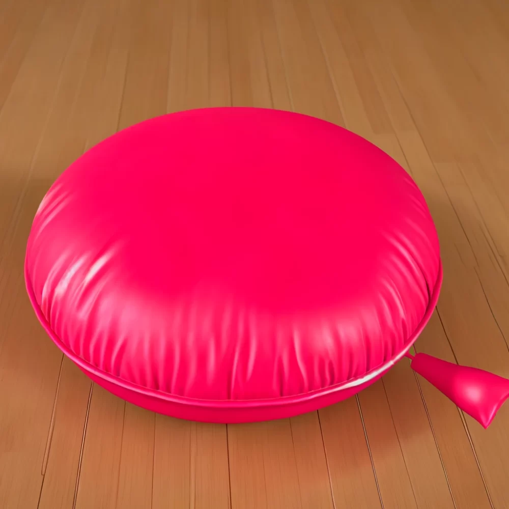 Whoopie Cushion