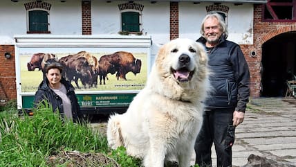 Elfi Rewoldt und Frank Miller wollen ihr WildGut Warksow an neue Eigentümer übergeben.