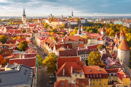 Luftaufnahme der Altstadt von Tallinn in Estland mit vielen roten Hausdächern, bunten Häusern und Kirchtürmen