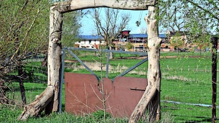 Gut drei Hektar Fläche gehören zum Wildgut Warksow.