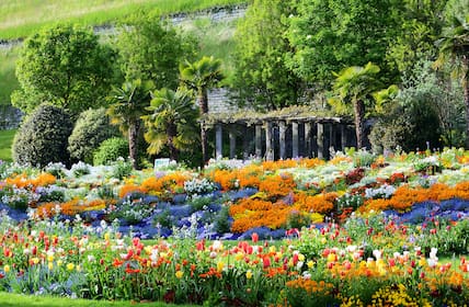 Das Madeira Deutschlands: Die Insel Mainau im Bodensee.