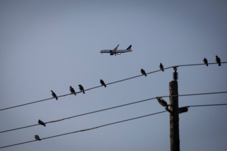 An Air Canada aircraft is seen flying over Toronto in 2020.