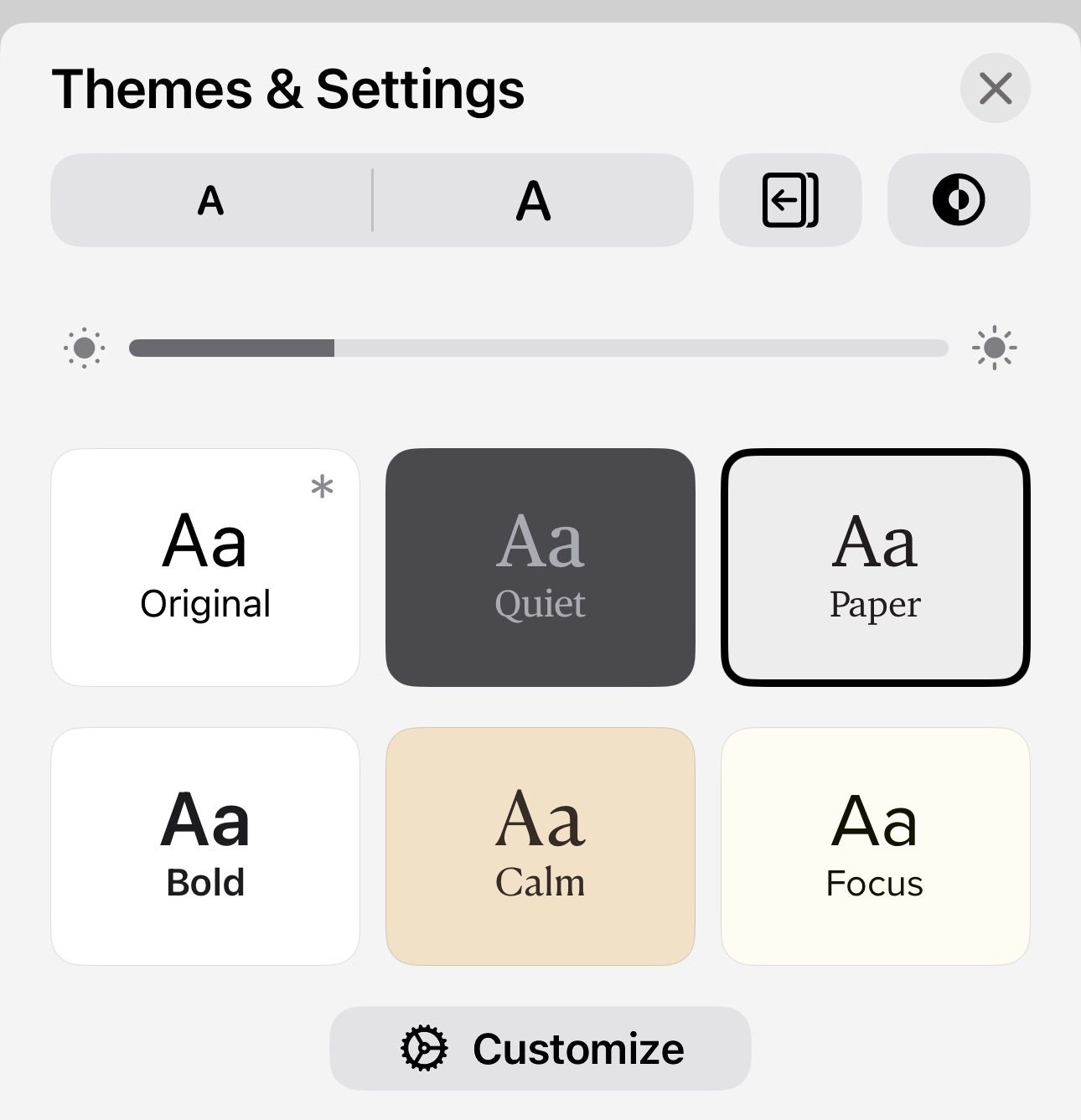 Themes & Settings overlay screen on the Apple Books app.