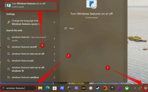 Typing Windows Features in Windows 11 search box. 