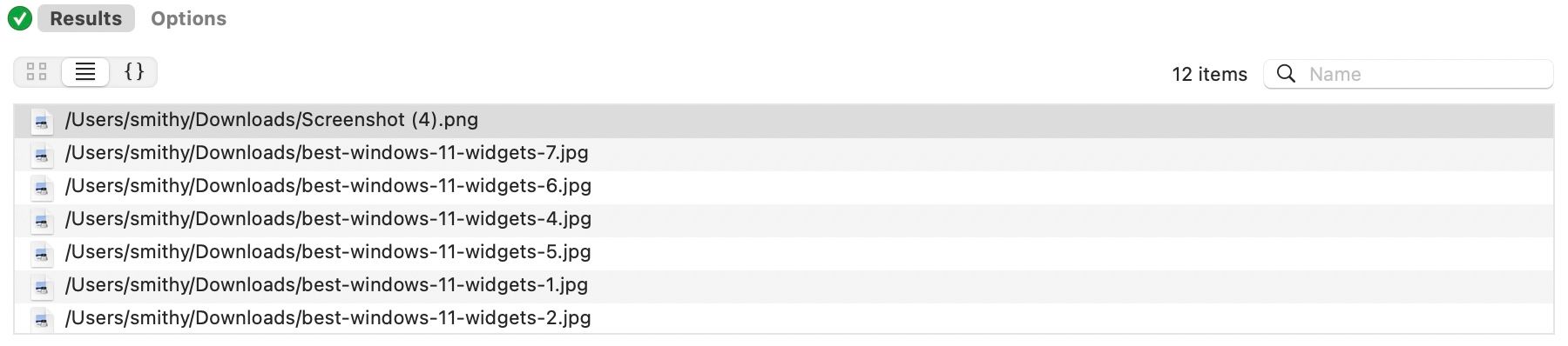 Run Shell Scription action results.