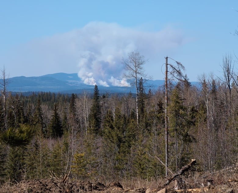 A large plume of smoke in the distance on a ridge.