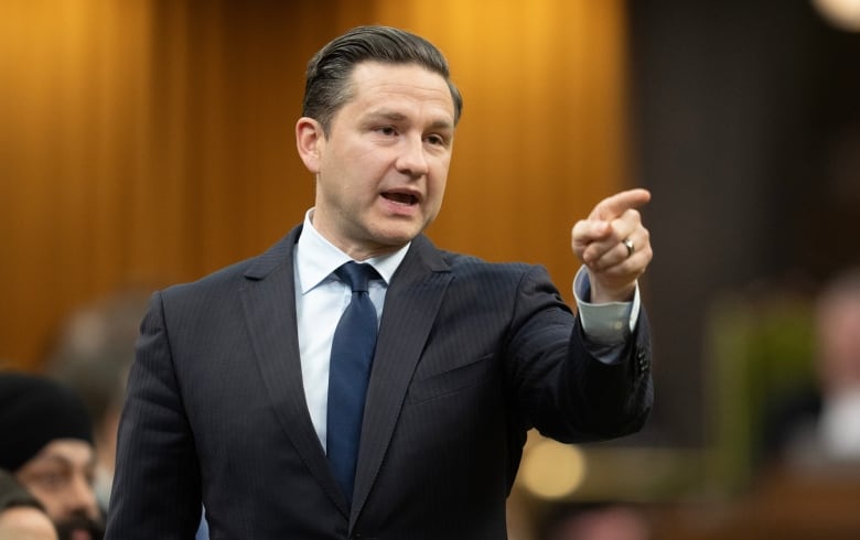 Leader of the Conservative Party Pierre Poilievre rises during Question Period, Wednesday, April 17, 2024 in Ottawa.